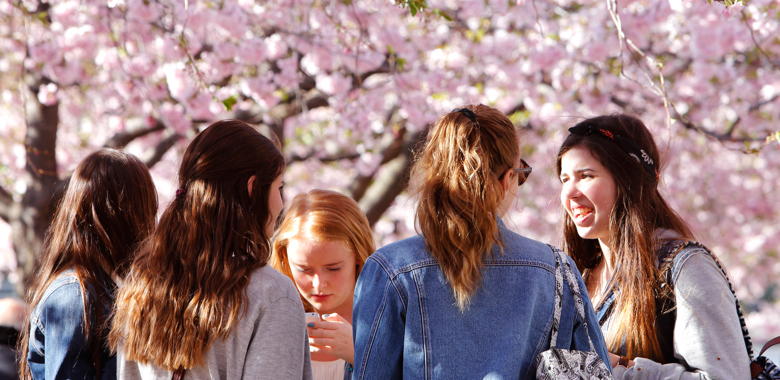 8455891 Grupp Tonaringar